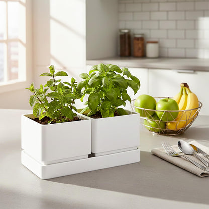D'vine Dev Indoor Herb Garden Planter Set, Plastic Windowsill Plant Pots with Drainage and Saucer, Indoor Succulent Cactus Vegetable Pot for Balcony, Office, Garden, White, Set of 2, 76-Q-A-2