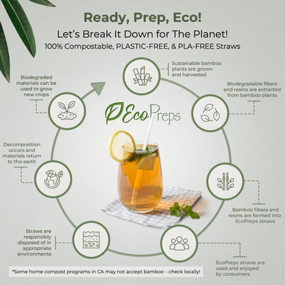 EcoPreps Biodegradable Bamboo Fiber Straws | 300 Count, 100% Compostable, Plastic-Free, Eco-Friendly Drinking Straw | 7.8'' Plant Fiber Disposable Straws, White Straw | Durable for Warm & Cold Drinks