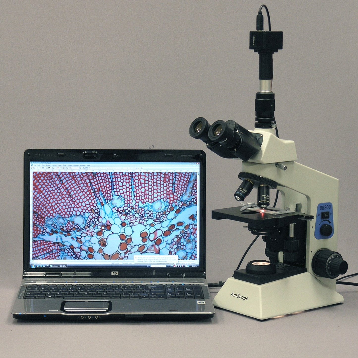 AmScope T580B-DK 40X-2000X Professional Darkfield Research Biological Compound Microscope