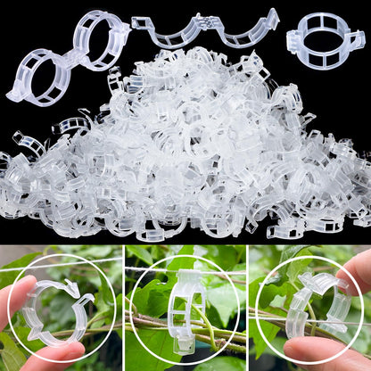 Tomato Clips - Durable Plant Support Trellis Clips for Climbing Vegetables | 100 Pcs, White