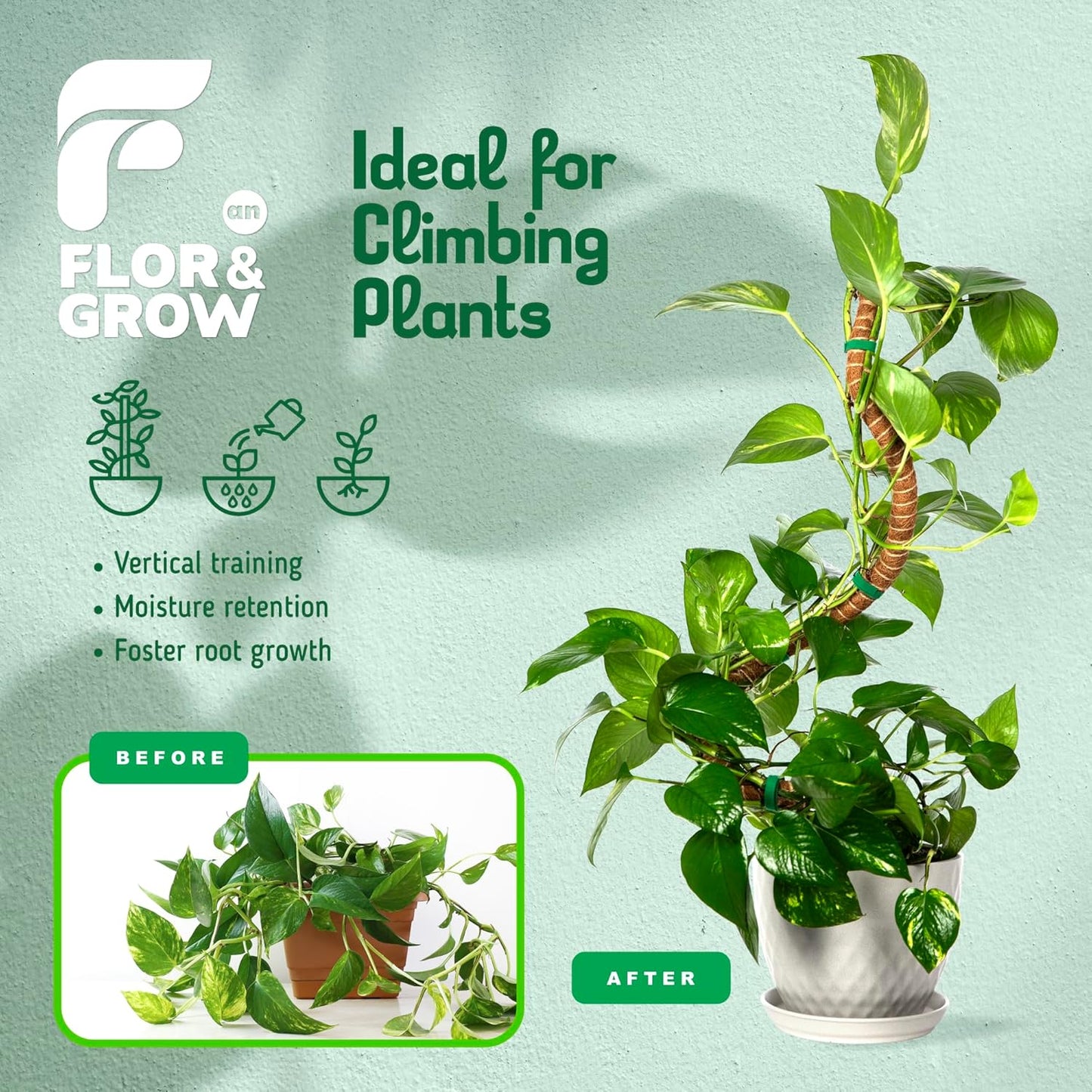 Monstera Plant Support Stakes - 28" Sturdy Moss Poles for Indoor Climbing Plants | 2 Pack