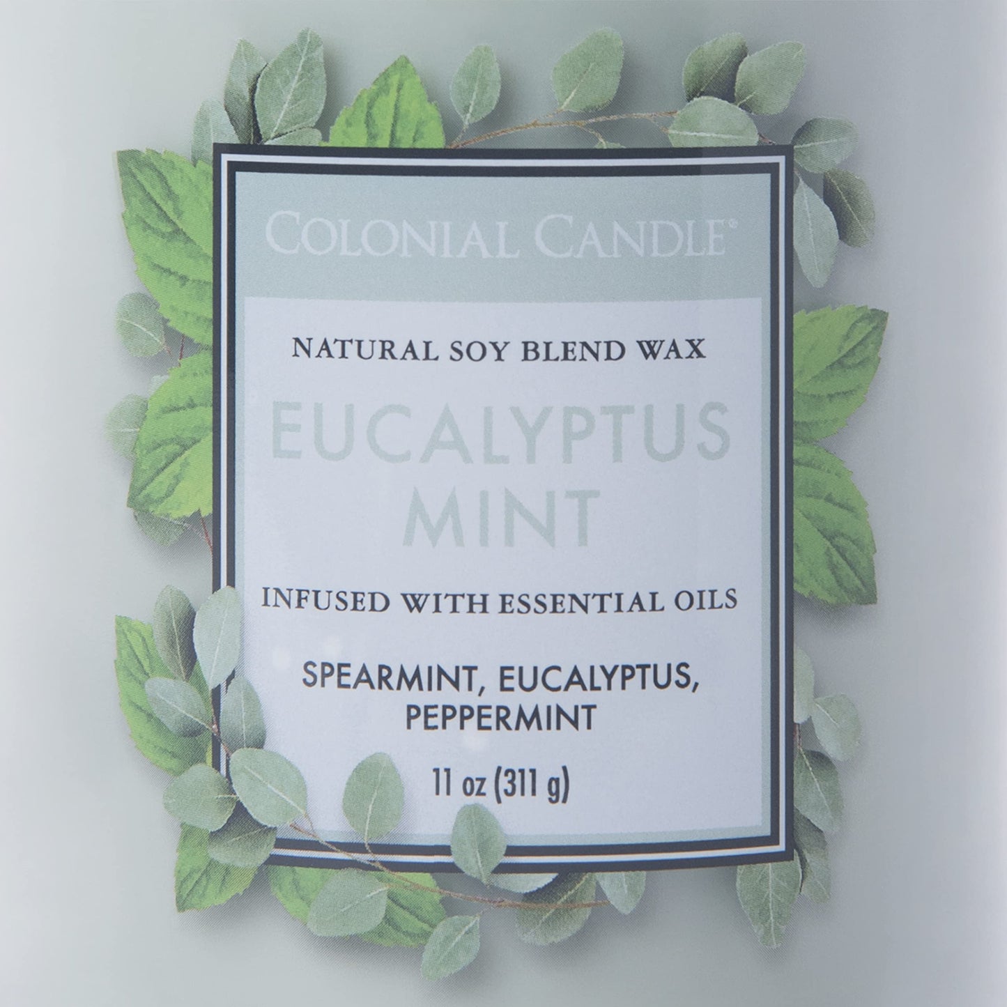 Colonial Candle Eucalyptus Mint Scented Jar Candle, Classic Cylinders Collection, 2 Wick, Green, 11 oz - Up to 80 Hours Burn