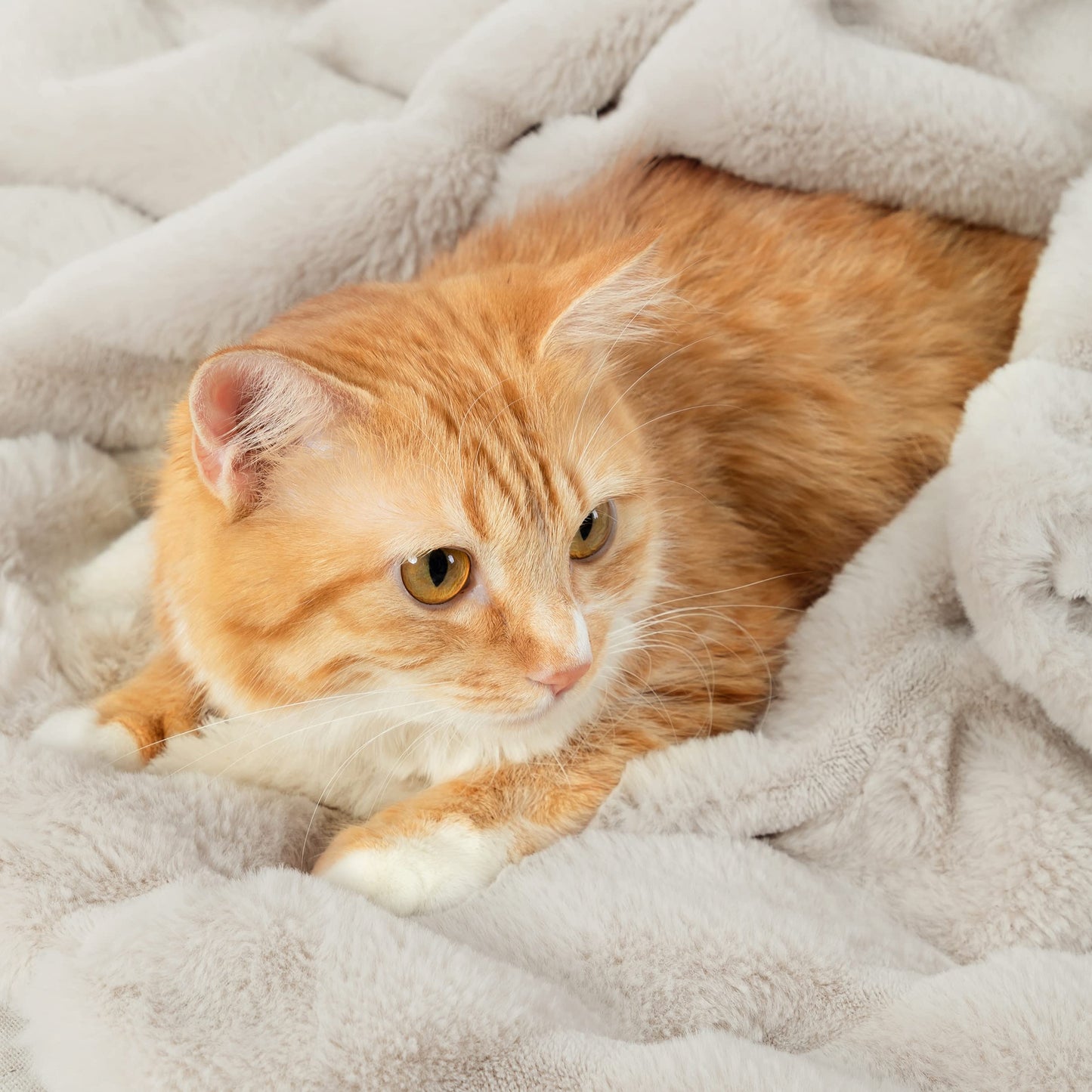 Cozy Bliss Faux Fur Throw and Leopard Print Faux Fur Throw Blanket