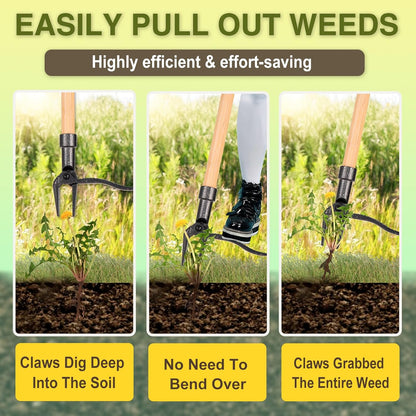 Skiennix Stand-Up Weed Puller Tool - 4-Claw Steel Head with Wooden Handle | Effortlessly Remove Weeds Without Bending