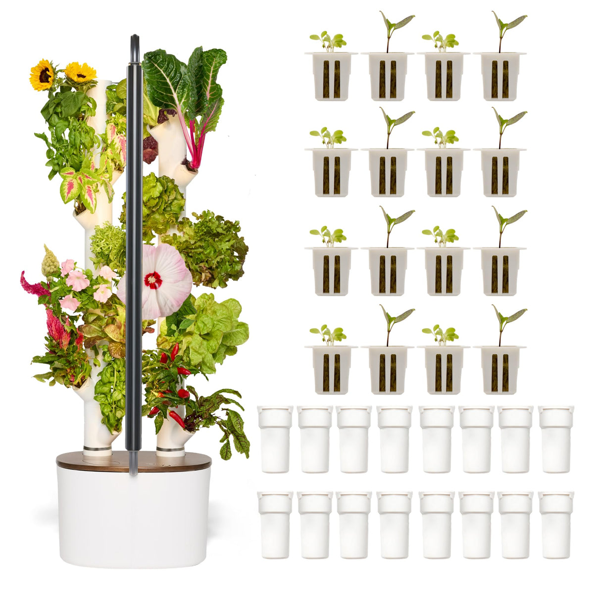 New & Improved! Gardyn Studio 2 Hydroponics Growing System - 16 Non-GMO Plants, Herbs, Vegetables - Smart Tower - Hydroponic Herb Garden Planter Indoor Kit - Indoor Gardening System w/Grow Lights
