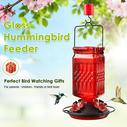 Skiennix 20oz Glass Hummingbird Feeder - Outdoor Hanging Design with Bee Guard & Ant Moat | Red (2 Pack)