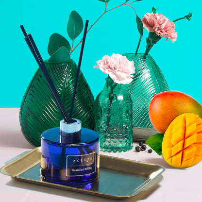 Reed Diffusers Set, 3.7 Oz Scent Diffuser, 6 Reed Diffuser Sticks, Home Fragrance Hyacinth, Peony & Citrus, Aromatherapy Oil Diffuser Reeds, More Masculine Scent, Bathroom & Office Decor 110ml