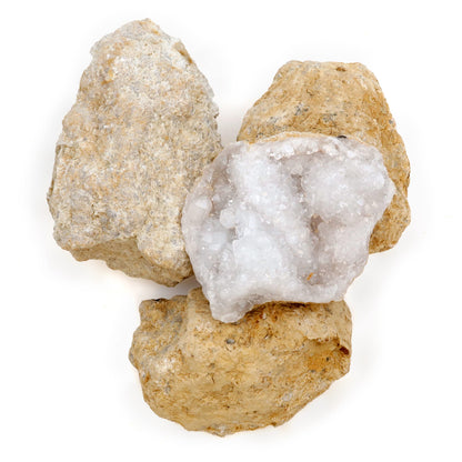 DANCING BEAR 25 Break Your Own Geodes, (Medium 1-1.5") 90% Hollow, Crack Open & Discover Amazing Surprise Crystals Inside! Educational Info and Instructions Included, Fun Party Favors & Prizes