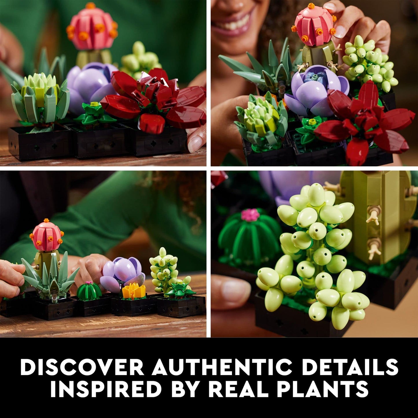 LEGO Botanicals Succulents - Artificial Indoor Plant Building Set for Home, Kitchen, Desk Decor Adults Ages 18+ - Gift for Birthdays - 10309