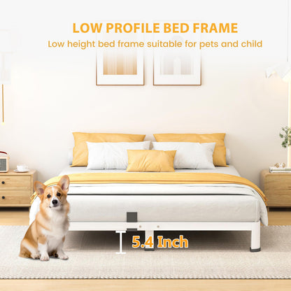 7 Inch Queen Bed Frame, Metal Platform Bed Frame with Round Corner Legs, 3500 lbs Heavy Duty Steel Slats Support, No Box Spring Needed, Noise Free, Easy Assembly, White