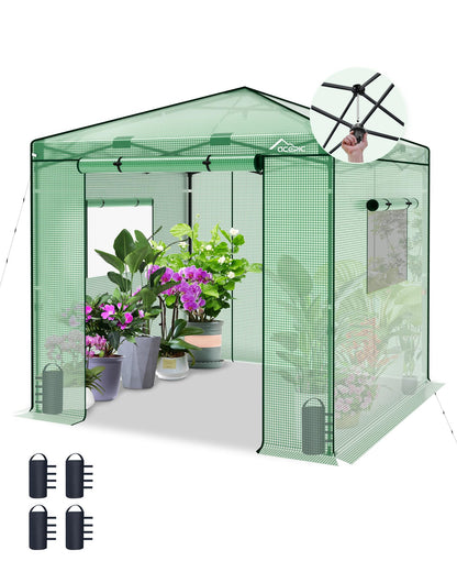 Acepic 8x8 Instant Pop up Greenhouses, Indoor Outdoor Portable Greenhouse Walk-in for All Season, Small Green House with Roll-Up Zipper Doors and Side Windows, 4 Sandbags, Pe Cover, Green/Clear