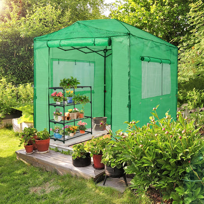 EAGLE PEAK 8'x6' Portable Greenhouse with Two Shelves