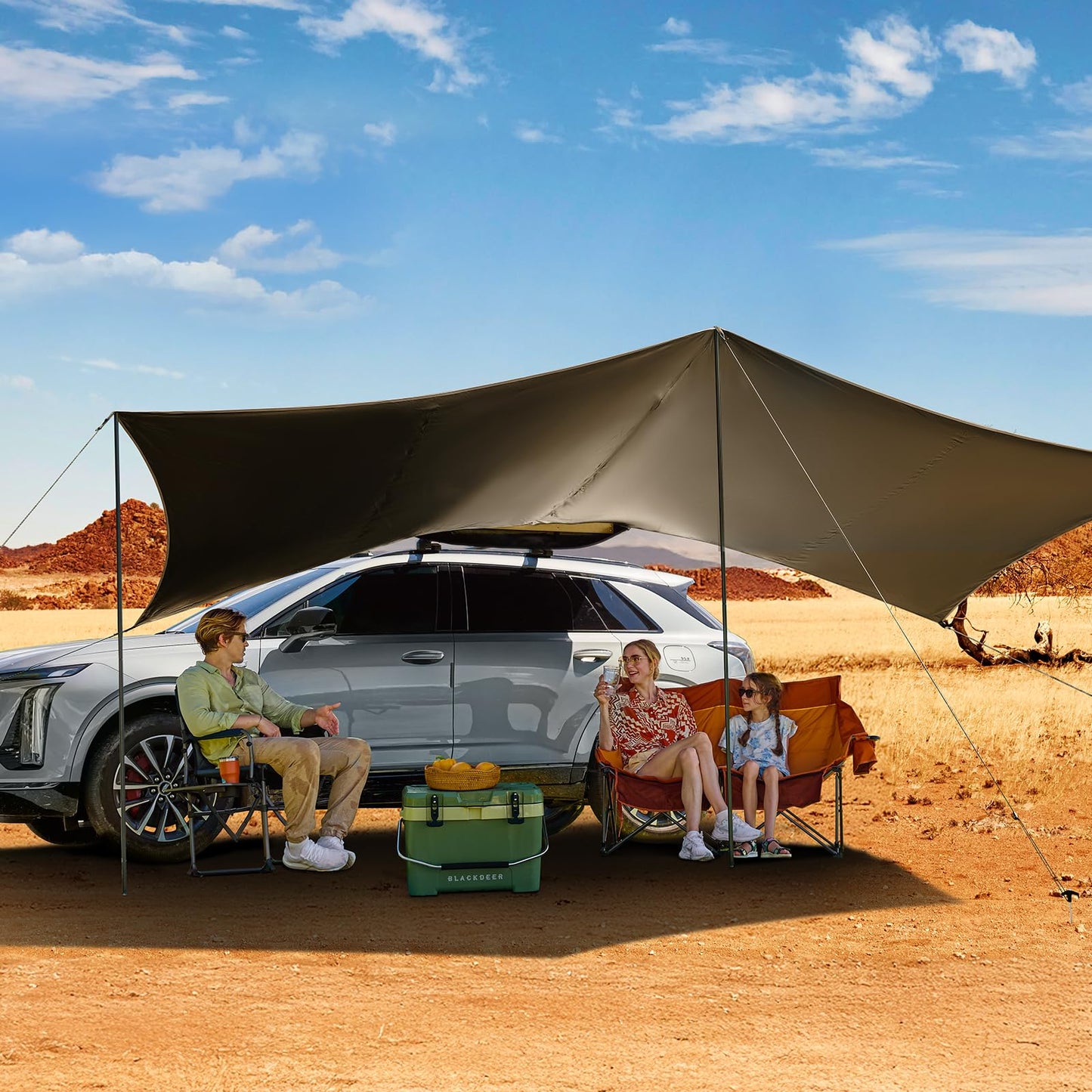 TIMBER RIDGE 19x9.8ft Retractable Car Awning with Blackout Coating, 186ft² Roof Rack Pull-Out Sun Shade Overland Camping, UPF50+ Waterproof Sun Shelter for Vehicle/Truck/Jeep/SUV/Van Green