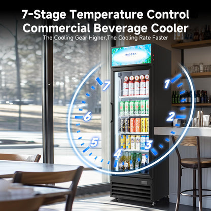 BODEGA BODEGACOOLER 9.0 Cu.Ft Commercial Beverage Refrigerator with Glass Door, Upright Display Merchandiser Fast Cooling Drink Cooler, Digital Thermostat, LED Light – Beat Summer Heat for Game Day.