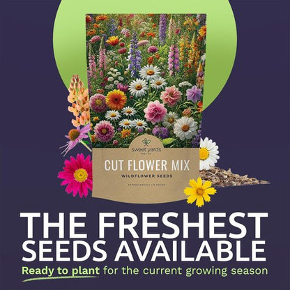Cut Flower Garden Seeds - Non-GMO Wildflower Seeds in Bulk | 1/4 Pound Bag with 30,000+ Seeds