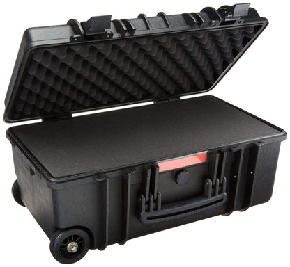 Amazon Basics Hard Protective Camera Case with Wheels, Large, Black, 22"L x 14"W x 9.8"H