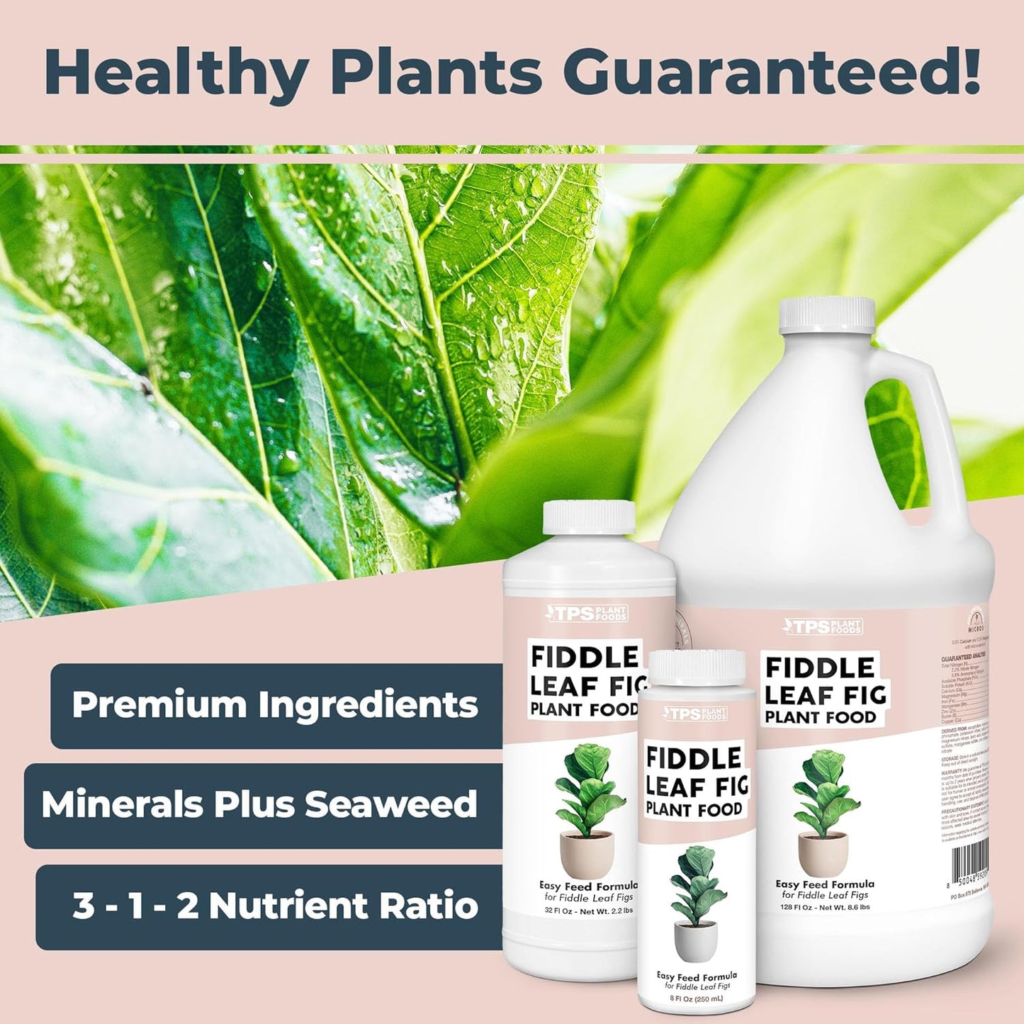 Skiennix Fiddle Leaf Fig Plant Food - Liquid Nutrient for Bigger Leaves & Stronger Roots | 8 oz