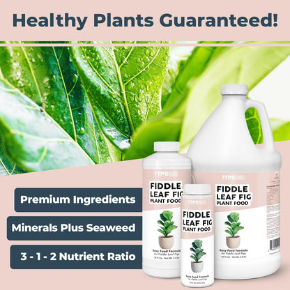 Skiennix Fiddle Leaf Fig Plant Food - Liquid Nutrient for Bigger Leaves & Stronger Roots | 8 oz