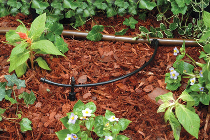 Rain Bird LNDDRIPKIT Drip Irrigation Kit - Efficient Landscape & Garden Watering System with Drippers & Micro-Bubblers
