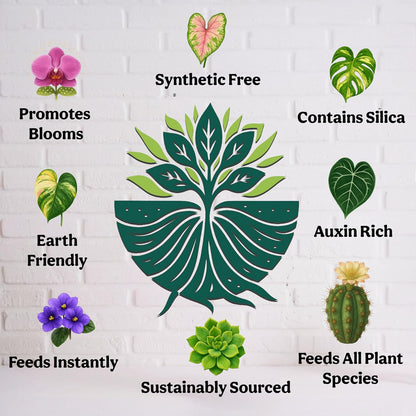 Skiennix Organic Liquid Indoor Plant Food - All-Purpose Fertilizer with Sea Kelp | 12oz Treats 75 Gallons
