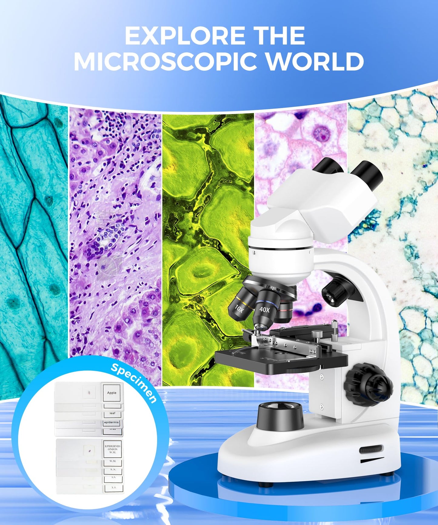Compound Binocular Microscope for Adults, Professionals & Kids, 40X-2000X Magnification with LED Illumination, Mechanical Stage, WF10x & WF25x Eyepieces，Compatible for Lab, School, Home Education