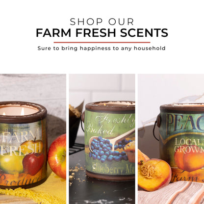 A CHEERFUL GIVER 95hr 20oz Scented Candle - Balsam Fir - Multi-Wick Glass Candle - Gifts For Men and Women