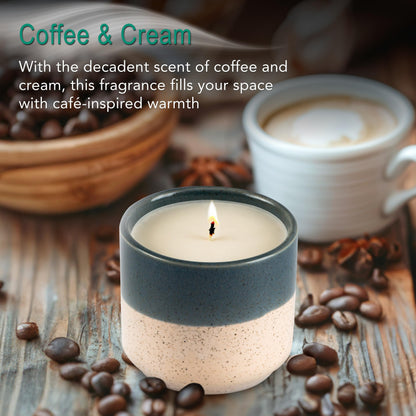 The Growing Candle, from Flame to Flower, Lemongrass Scented, Non-Toxic, 100% Soy Wax, Indoor Wildflower Garden, Aromatherapy Gift for Women, 8.5oz, 45-50 Hr Burn Time, Willow