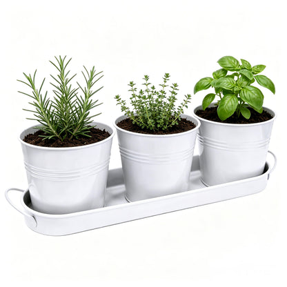 TCBWFY Indoor Herb Garden Planter Set - 3 Pack 4.7" White Metal Plant Pots with Drainage Holes & Removable Tray - Windowsill Kitchen Counter Balcony Office Garden