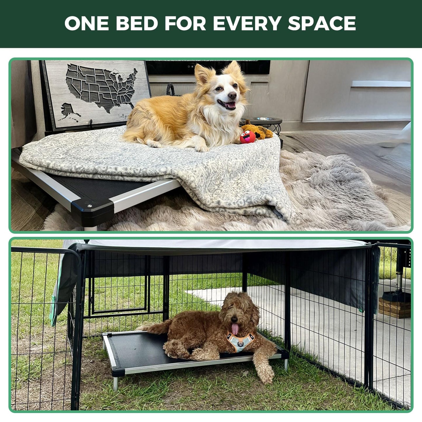 FXW TitanNest Chew-Proof Elevated Dog Bed, Raised Cot for Indoor/Outdoor/Camping Use, Durable & Waterproof Cooling Pet Bed for Extra Large Dogs, 56.0" L x 31.0" W x 7.3" H, Black