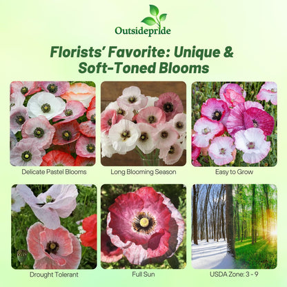 Outsidepride Mother of Pearl Poppy Seeds for Planting - 500 Pcs Annual, Drought-Tolerant & Easy to Grow Wildflower Seeds with Vibrant Mix Blooms for Landscaping, & Pollinator Garden