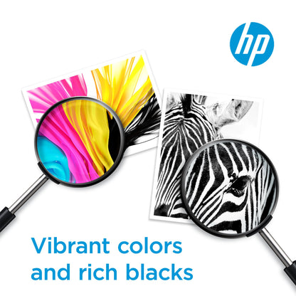 HP 64XL Black High-yield Ink Cartridge for HP Printers | Works with Printer Series: ENVY Inspire 7950e; ENVY Photo 6200, 7100, 7800; Tango | Eligible for Instant Ink | N9J92AN