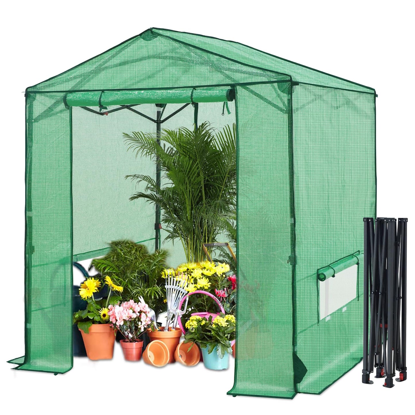 INTER HUT 6x6 Pop Up Greenhouse, Instant Walk in Green House with PE Cover, Power Ports, Roll up Doors & Windows for Indoor Outdoor Plant Growing, Green