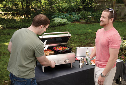 Cuisinart Chef's Style Tabletop Portable Propane Grill, 20,000 BTU Stainless Steel 2-Burner Outdoor Gas Grill for Camping, Tailgates, BBQ, Hassle-Free Setup, Twist-Start Ignition, CGG-306