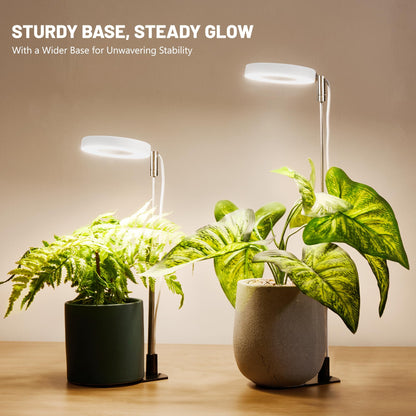 LBW Grow Light for Indoor Plants, Full Spectrum Plant Light with Base, Height Adjustable Plant Growing Lamp with Auto On/Off Timer 6/8/12/16H, 3 Colors,5 Dimmable Brightness, for Small Plants, White