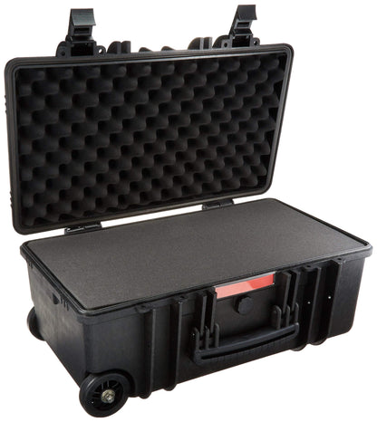 Amazon Basics Hard Protective Camera Case with Wheels, Large, Black, 22"L x 14"W x 9.8"H