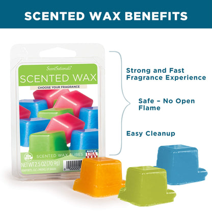 ScentSationals Tropical Fiesta Scented Wax Melts - Pineapple, Berries, & Kiwi, 10oz (24 Cubes)