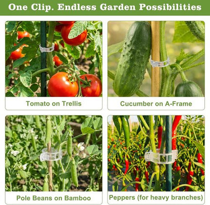 Feed Garden 120 Pcs Plant Clips - Reusable Supports for Climbing Plants, Tomatoes, Cucumbers & More