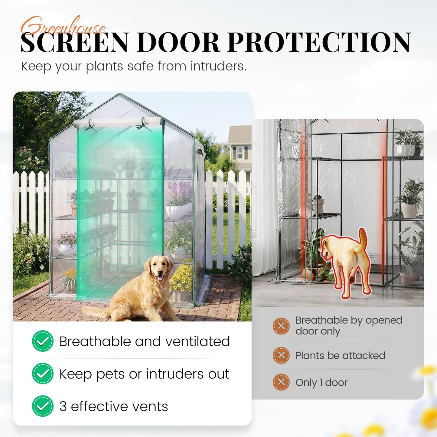 KING BIRD Premium Greenhouse for Outdoors, 56x56x77 in Walk-in Hot House with Thickened Cover, Reinforced Frame, Screen Windows & Mesh Door, 4 Tiers 12 Shelves for Outside Garden Seedlings, Clear