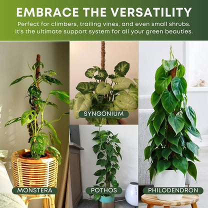 Skiennix 28 Inch Bendable Moss Pole - Ideal Plant Support for Monstera & Climbing Plants