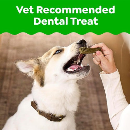 Greenies | Veterinarian-Recommended Natural Dental Dog Treats - Teenie Size, Original Flavor, 36 oz Pack