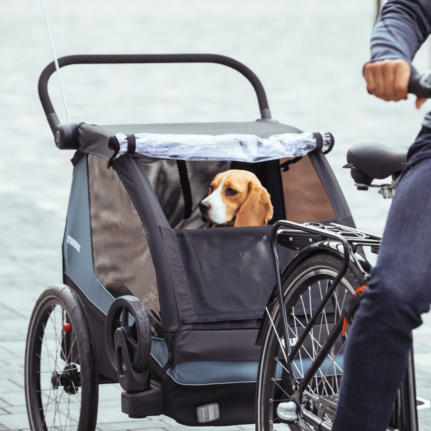 Thule Courier Bike Trailer