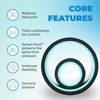 Chirp Wheel Foam Roller – Targeted Back & Neck Relief, Lumbar Spine Stretcher, Spinal Decompression Back Stretcher, Massage Roller with Density Foam for Physical Therapy, Supports 500lbs, 2-Inch Mint