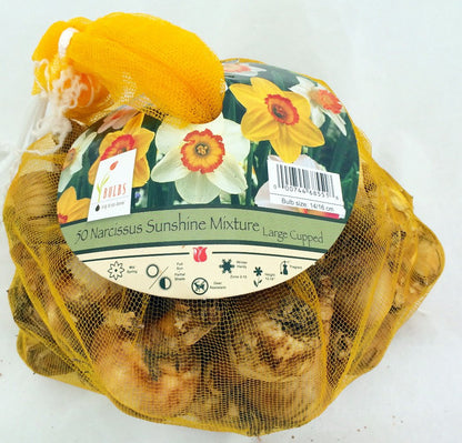 Sunshine Narcissus Mix 50 Bulbs- 14/16 cm Bulbs - Value Bag