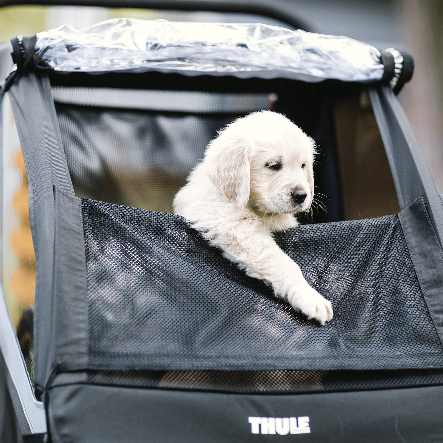 Thule Courier Bike Trailer