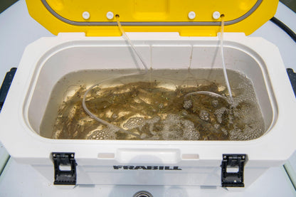 Frabill Magnum Bait Station 30 | 30 Quart Bait Cooler with Dual Aeration, White and Yellow
