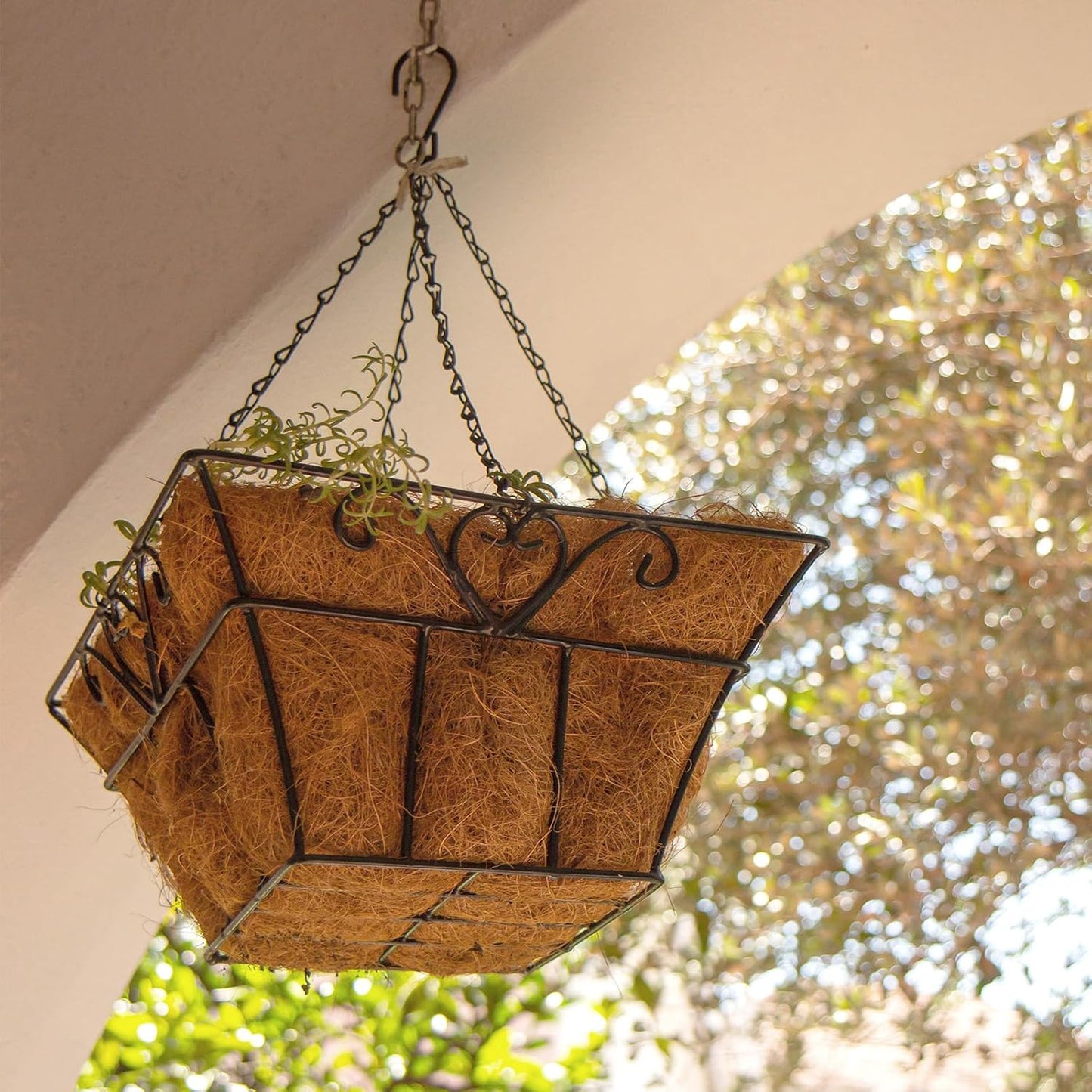 Newtay 14-Inch Square Coconut Liners - 4 Pcs Coir Fiber Replacement for Hanging Baskets & Pots