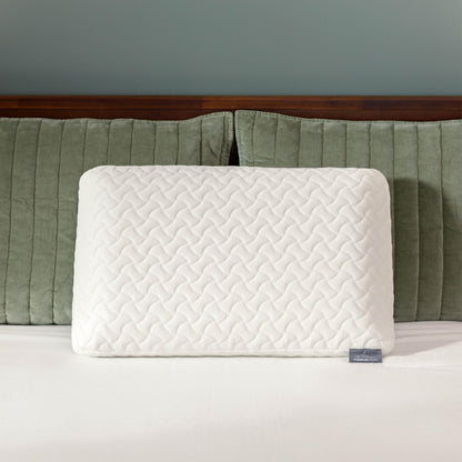 TEMPUR-Pedic TEMPUR-Cloud Pillow, Standard-2-Pack, Standard, White 2 Count