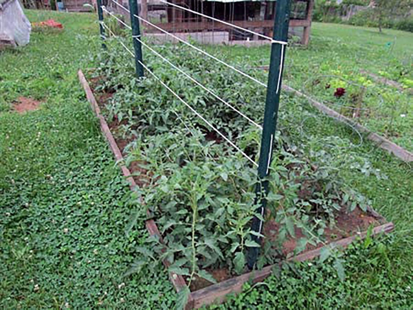 6300FT Tomato Tying Garden Twine - Durable, Heavy-Duty Twine for Support and Growth