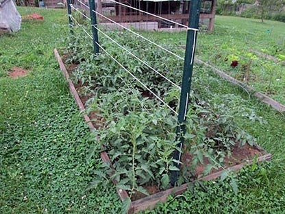 6300FT Tomato Tying Garden Twine - Durable, Heavy-Duty Twine for Support and Growth
