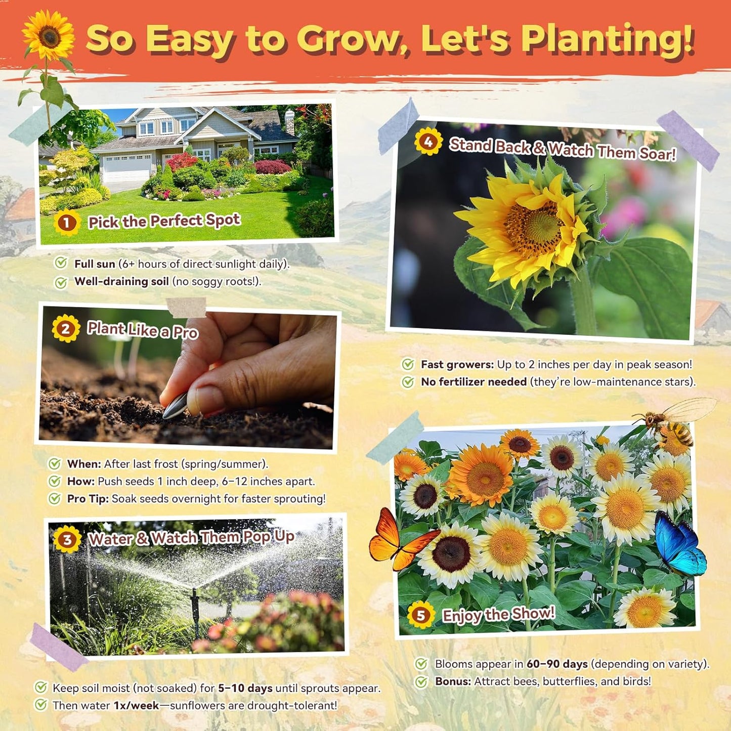 Sunflower Seeds - Giant Mammoth Heirloom Bulk Packet | 3000+ High Germination Seeds for Home Garden